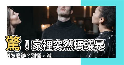 突然螞蟻變多